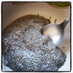 Chia Seed Pudding Recipe 