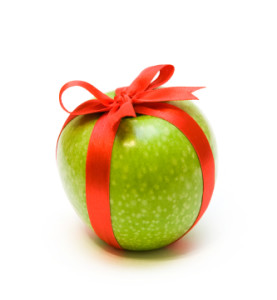 Healthy Holiday Gift Guide 2013