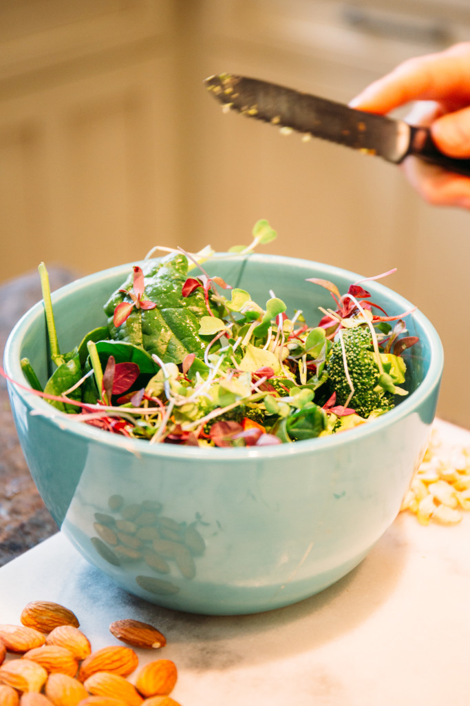 A Yummy and Easy Summer Salad Recipe - Katie Bressack